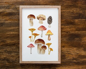 Watercolor Mushroom Print: Naturalist Wall Art Poster