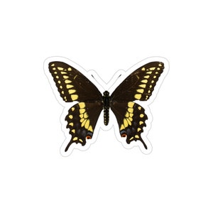 Butterfly Sticker Support Native Pollinators Bumper Sticker water bottle butterfly sticker naturalist sticker gift for butterfly lover