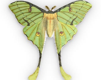 Grüne Mondmotten-kundenspezifische geformte Kissen | Motte Dekokissen