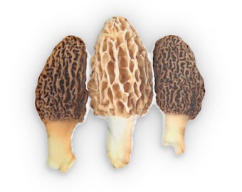 Morchel Pilz individuell geformte Kissen | Pilz Kissen