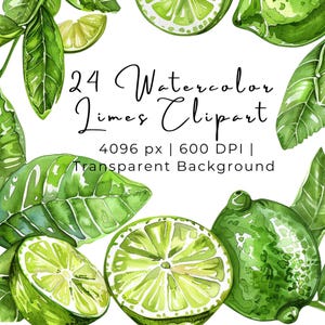 24 Watercolor Limes Clipart | Lime Graphics | Summer Fruit Clipart | Green fruit | Transparent background | 600 DPI | Commerical Use PNGs |