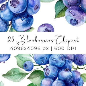 Blaubeeren Clipart PNG Bündel Aquarell Blaue Beeren Obst Kranz Grenze Sommer Kunst für kommerzielle Nutzung Becher Sublimationsglas Etiketten