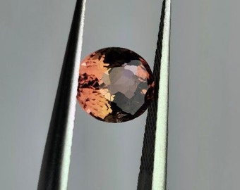 Tourmaline bicolore naturelle ronde