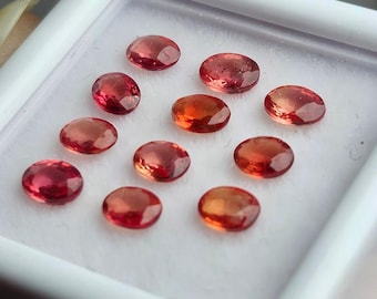 Lot of natural oval red sapphire