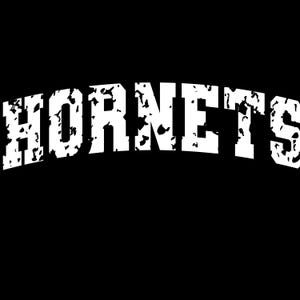 Grunge Hornet