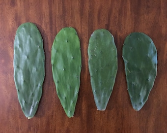 cactus toner pads Yada Cactus Toner Pad 60p main image 0