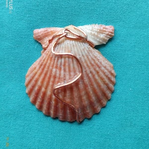Sea Scallop wire wrapped pendant.
