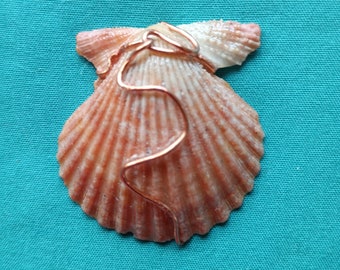 Sea Scallop wire wrapped pendant.
