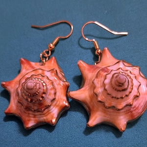 Fighting conch shell earrings.