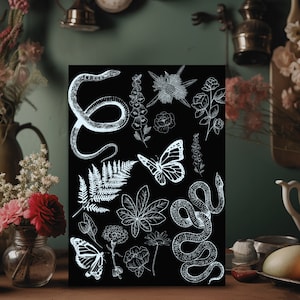 Puede incluir: Ilustración en blanco y negro de una serpiente, una mariposa, un helecho y varias flores sobre un fondo negro.