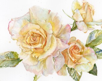 Yellow Rose Watercolor Painting in a Vintage Style, June Birth Flower, 5x7"