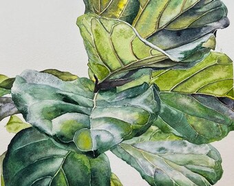 Fiddle Leaf - contemporary botanical  9x12 Original Watercolor with white background