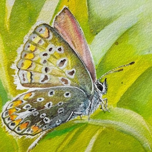 Small Sparkly Original Butterfly Painting, Watercolor, Gouache and Ink