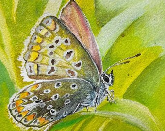 Small Sparkly Original Butterfly Painting, Watercolor, Gouache and Ink