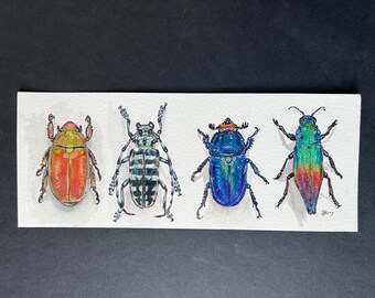 Jewel Beetles - A Line-Up of Shimmery bugs, 4x10"