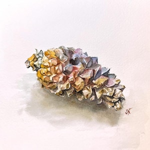 8x8&quot; Pinecone original watercolor botanical  painting