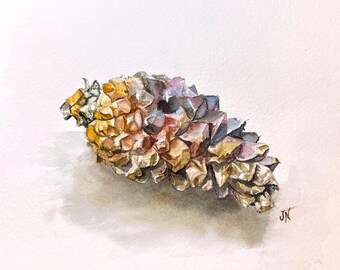8x8" Pinecone original watercolor botanical  painting