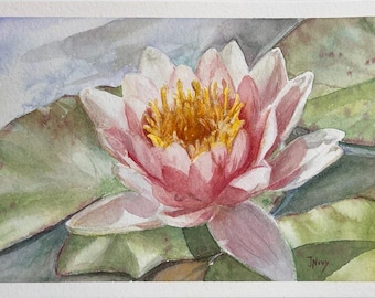 Vintage Style Water Lily Painting, Original Watercolor Art, July Birth Flower (4x6)