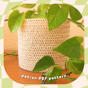 Peut inclure: Gros plan d'un pot de plante en crochet beige avec une plante verte à feuilles. Le pot a un motif en chevrons et le texte "Patron PDF pattern" est visible en bas de l'image.