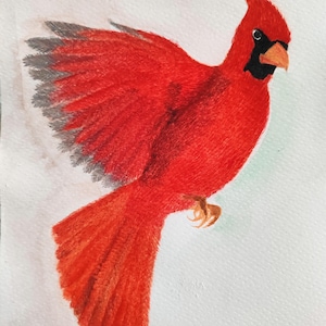 Original Red Cardinal Watercolor Painting: Bird Lover Gift