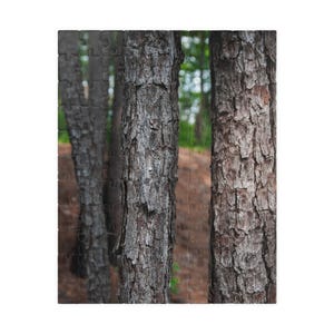 May include: A jigsaw puzzle showing a close-up of tree trunks in a forest. The bark is textured and grey-brown, with glimpses of green foliage in the background. The puzzle pieces are visible.