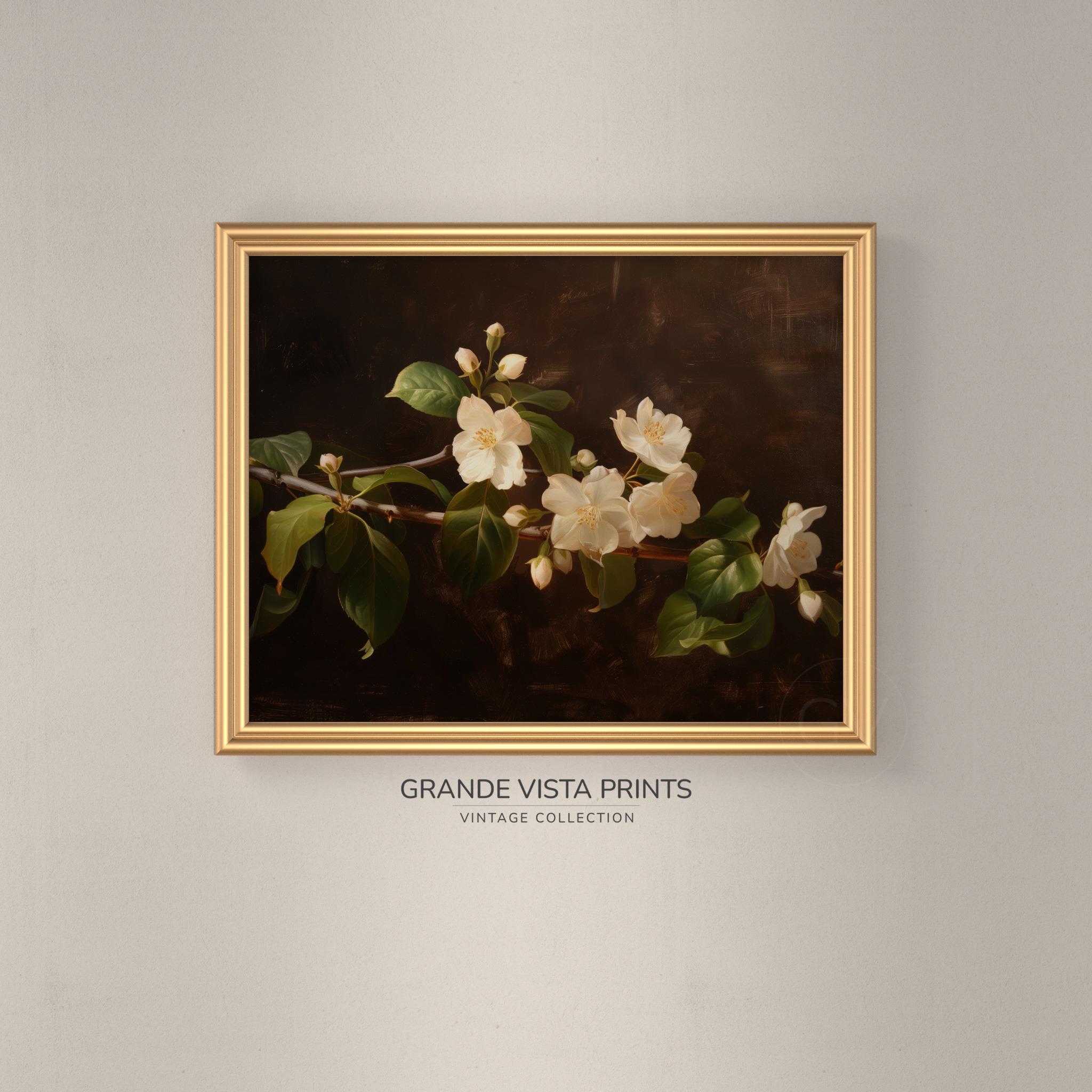Printable Jasmine Wall Art | White Flower Still Life Painting | Floral ...