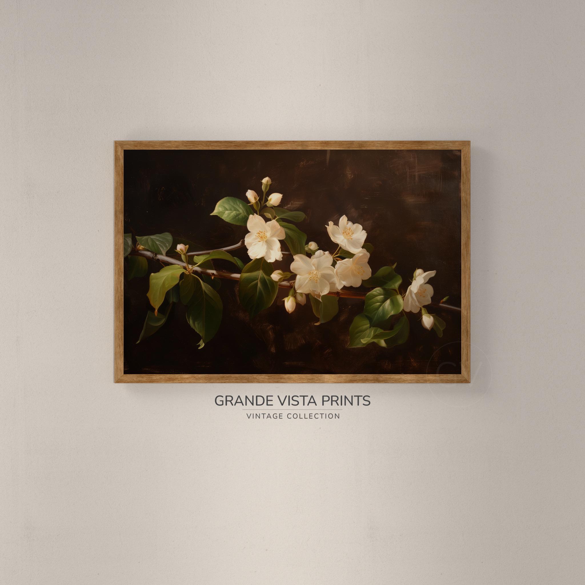 Printable Jasmine Wall Art | White Flower Still Life Painting | Floral ...