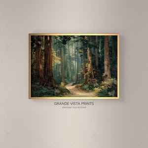 Druckbare Redwood Wald Kunstwerk | Redwood Waldweg Kunstwerk druckbare Wandkunst | Redwood Bäume Malerei Digital Download | GF4375