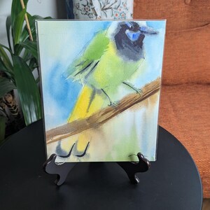 Original Watercolor Art - 8x10 - Birds - Green Jay