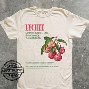 Lychee Retro Fruit Lover Graphic Shirt Vintage Lychee T-Shirt Cute Unisex Adult Graphic T Shirt Cool Gifts Exotic Fruit Lover Lychee Tee