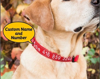 Collier de chien personnalisé avec visibilité la nuit pour un cadeau de sécurité pour les amoureux des animaux de compagnie !