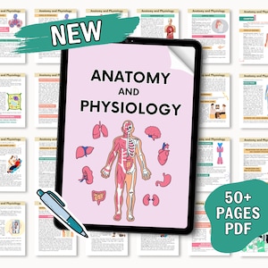 Guía de estudio de anatomía y fisiología 2024, notas de fisiología, paquete de notas de anatomía, guía de estudio de enfermería, anatomía y fisiología, fisiología A y P