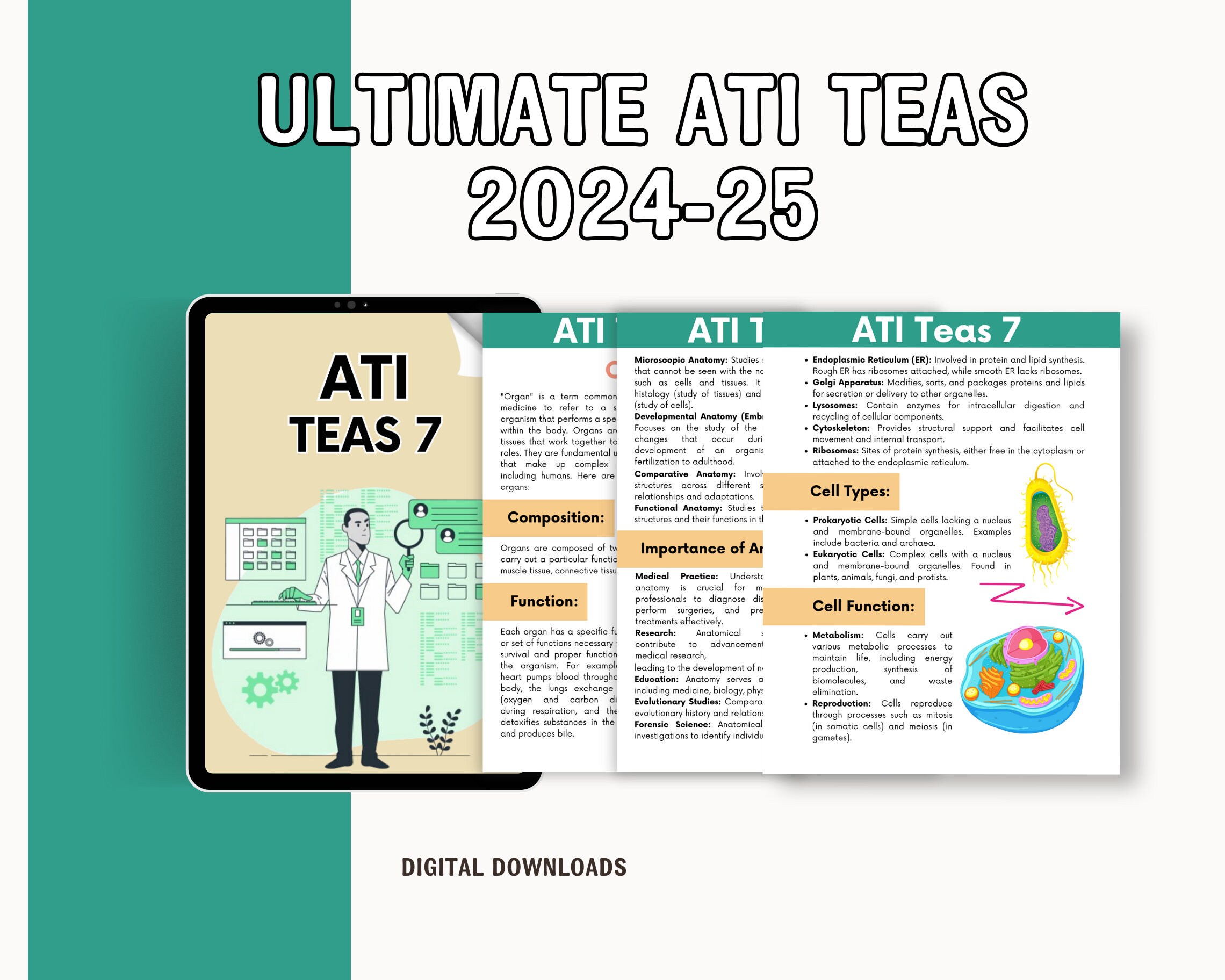 thumbnail image 2 of TEAS 7 Science Practice Test (updated 2025) - Test Preparation 2 of 13