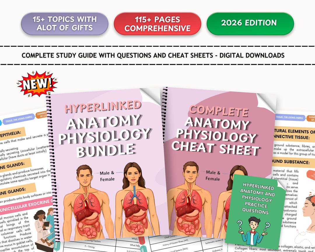 Hypelinked Anatomy &amp; Physiology Study Guide 2026 : Nursing Notes Bundle Cheat Sheet (digital ...