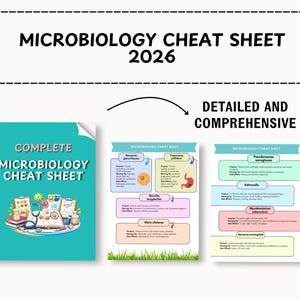 Verlinkte Hinweise zur Mikrobiologie - Studienführer, Übungsfragen, Tipps, & Pflege-Spickzettel Bild 6