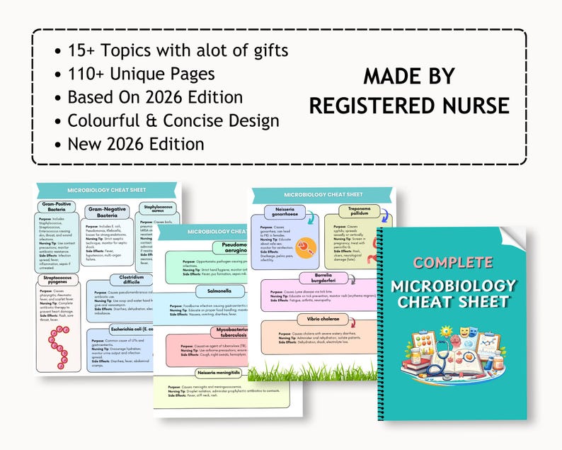 Verlinkte Hinweise zur Mikrobiologie - Studienführer, Übungsfragen, Tipps, & Pflege-Spickzettel Bild 4