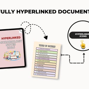 Verlinkte Hinweise zur Mikrobiologie - Studienführer, Übungsfragen, Tipps, & Pflege-Spickzettel Bild 10