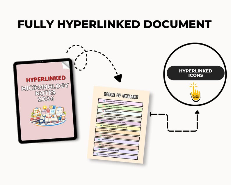Verlinkte Hinweise zur Mikrobiologie - Studienführer, Übungsfragen, Tipps, & Pflege-Spickzettel Bild 10