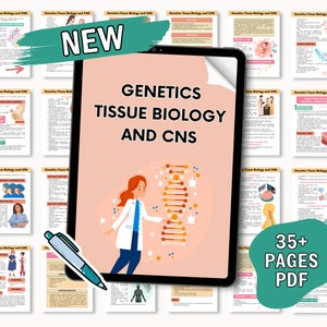 Puede incluir: Una tableta digital que muestra un documento rosa y blanco con el título "Genetics Tissue Biology and CNS". El documento presenta una ilustración de dibujos animados de una mujer con una cadena de ADN. La tableta está rodeada de documentos rosa y blanco más pequeños con el mismo título. El texto "NEW" está en un cuadro blanco con un contorno rojo. El texto "35+ PAGES PDF" está en un cuadro verde con un contorno blanco.