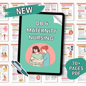 OB & Maternity Study Guide, Nursing Student Study Guide, Labor and Delivery, Digital Download - 2024-25