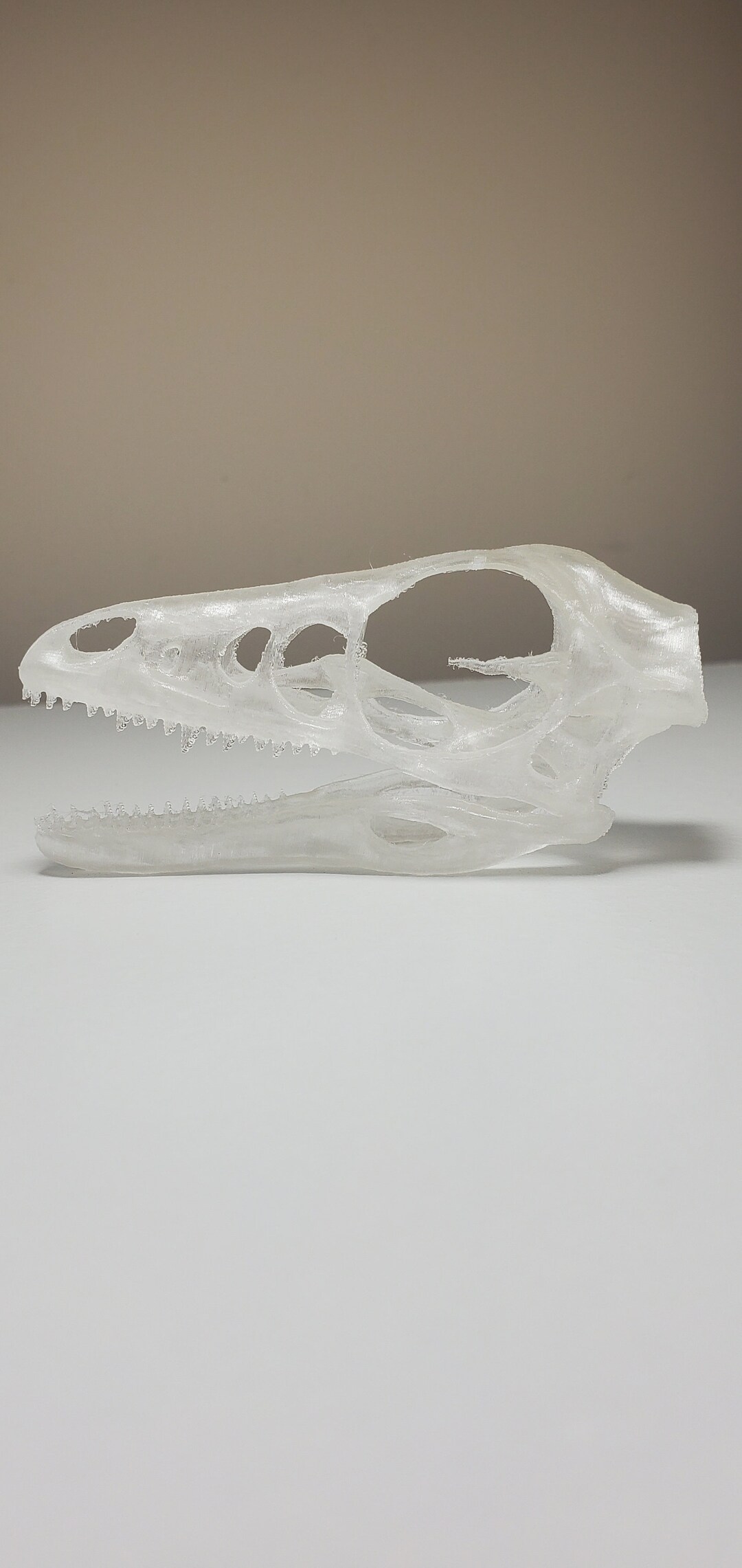 Microraptor Skull STL Files for 3D Printing - Etsy