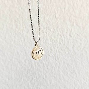 May include: A silver chain necklace with a round gold pendant featuring the Hebrew letters "nun" and "yud" in black.