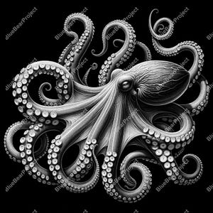Octopus PNG, digitale Datei, Laser-Gravur-Datei, Schieferuntersetzer, PNG für die Lasergravur auf Schiefer, CO2, xtool, glowforge, lightburn, Natur