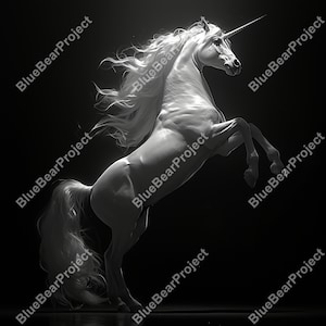 Unicorn laser PNG, digital file, Laser Engrave File, Slate coaster, PNG for laser engraving on slate, CO2, xtool, glowforge, lightburn, v2
