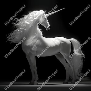 Unicorn laser PNG, digital file, Laser Engrave File, Slate coaster, PNG for laser engraving on slate, CO2, xtool, glowforge, lightburn, v4