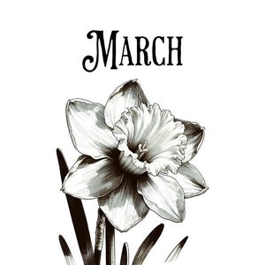March Daffodil Birth Flower Wall Art Gift for Birthday, Mother, Grandmother, Country Garden, Black and White, Birth Month, Budget Art Piece
