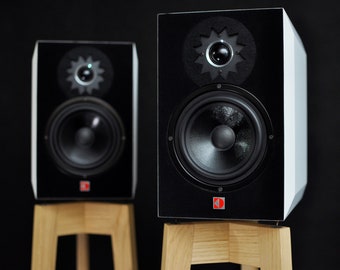 Loudspeaker monitors Scratch