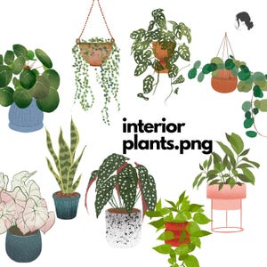 Plant Illustration Pack – PNG + Brushes (Procreate & PS)