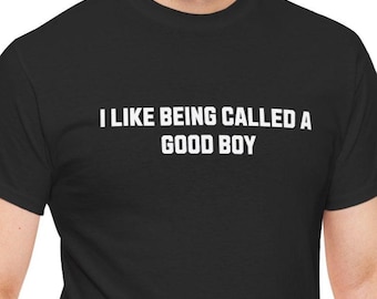 I Like Being Called A Good Boy T-Shirt, Funny Gen Z, Novelty Tee, Sarcastic Gift for Him, Trendy Gen Z Apparel, Alt Shirt, Funny Meme Shirt