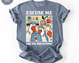 Silly Goose Respiratory Therapist Shirt – Funnt RT Gift